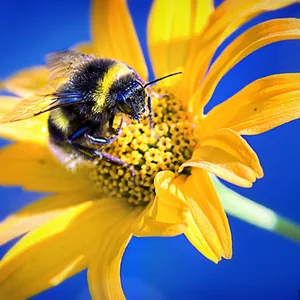 Anatolij Chaly's photo