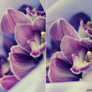 Evgeniya Ippolitova's photo