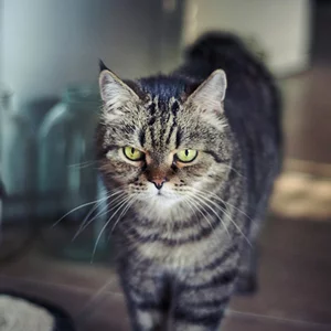 Фото Yuriy Plekhanov