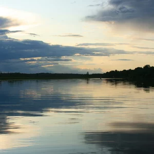 Natalie Petruk's photo