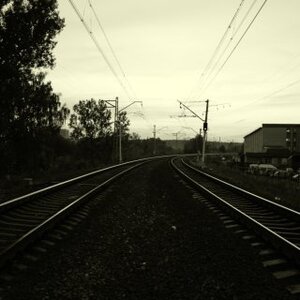 Photo 1676142