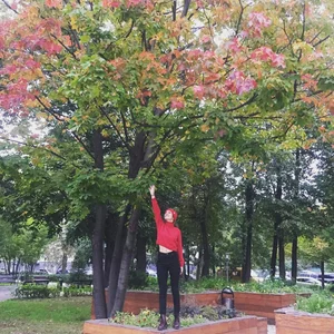 Irina Spasskaa's photo