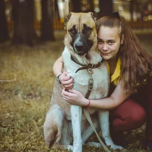 Alena Komandina picture