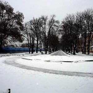 Foto von Netali Barnes