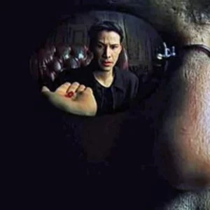 Denis Konnov picture