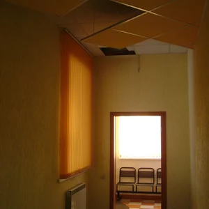 Sergej Nemo's photo