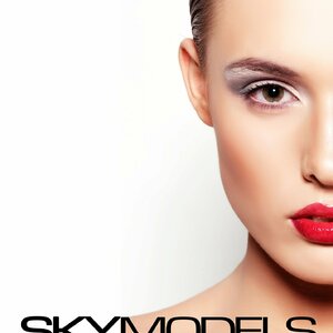 Логотип Sky Models