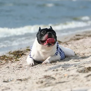 Svetlana Golubenko's photo