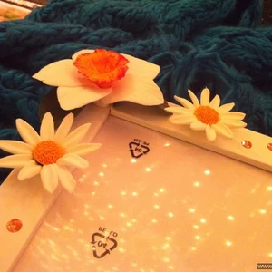Elena Mi's photo