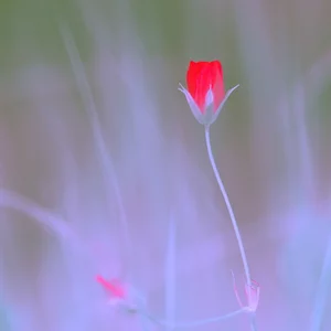 Aleksej Dudinskij's photo