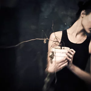 Фото Artem Go