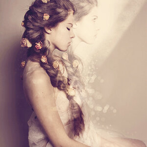 Foto 647824