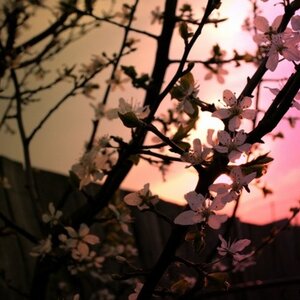 Photo 1676158