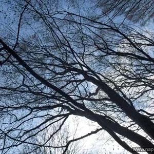 Tasha Ivanko's photo