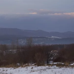 Aleksej Peskov's photo
