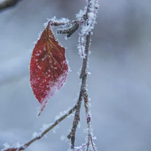 Aleksandr Bullit's photo