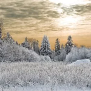 Aleksandr Kuznecov's photo