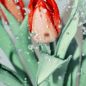 Anna Frolova's photo