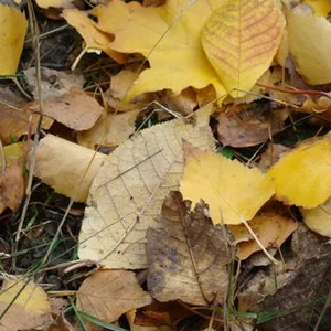 Daria Zhyvchenko's photo