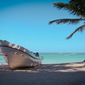 Tat'ana Photomagics的照片