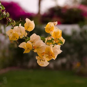 Evgeny Neustroev's photo