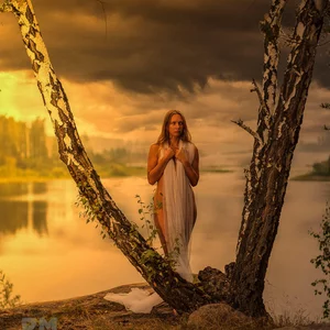 Vadim kukshinov's photo