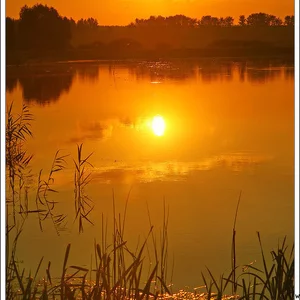Новые фото http://www.bfoto.ru/new_photo.php
