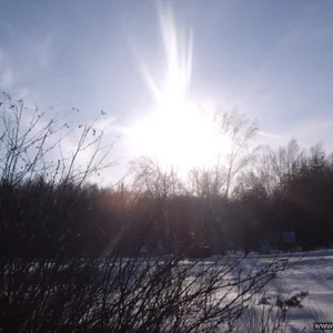 Ana Parsina's photo