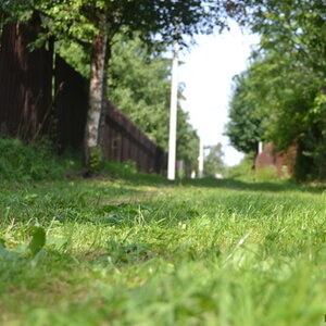 Photo 1769265