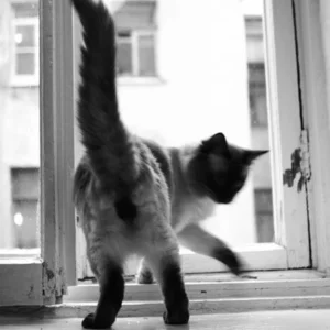 Olga Timkina's photo