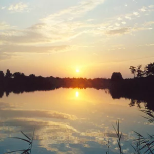 Foto Aleksandr Illiashenko