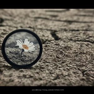 Oleg Ermak's photo