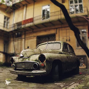 Setique Fricc's photo
