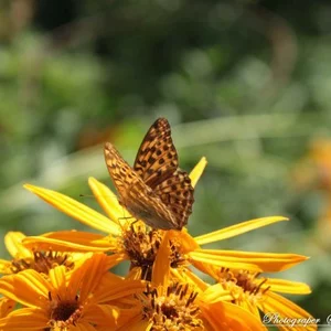 Dimitry Shcherbakov's photo