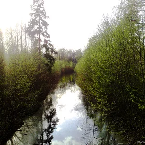 Foto von Alena Malinina