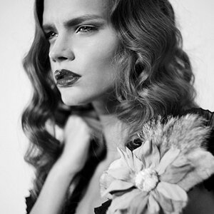 Photo 1239697