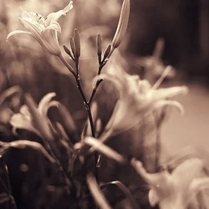 Irina Sitnikova's photo