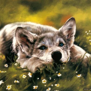 Natasa Trepalova's photo