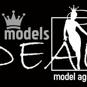 Логотип ИП Модельное агентство IDEAL MODELS