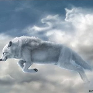 Natasa Trepalova's photo