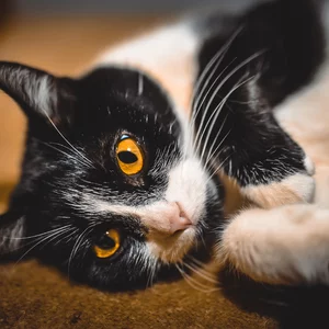 Фото Андрей Casey Махотин