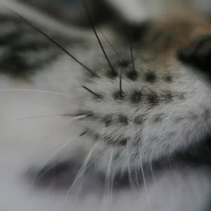 Aleksandr Danilov's photo