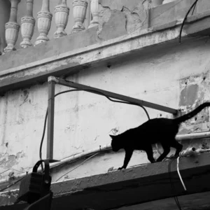 Ruslan Shpakovich's photo