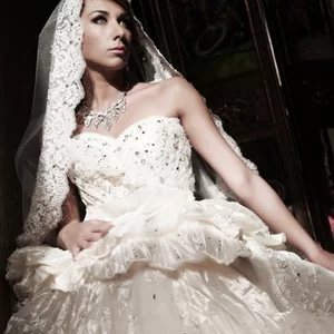 Amr Fouda's photo