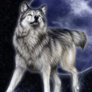 Natasa Trepalova's photo