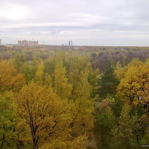 осень 2009