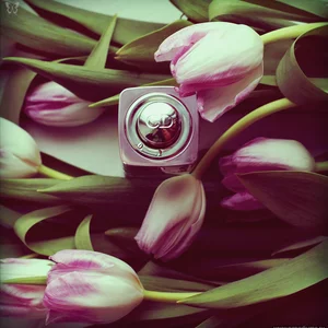 Evgeniya Ippolitova's photo