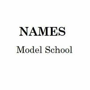 Логотип NAMES MODEL SCHOOL
