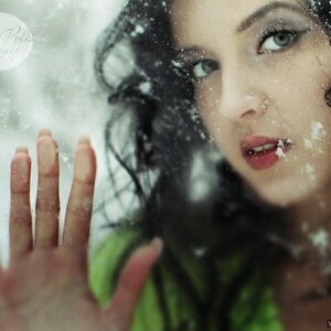 Photo 488346