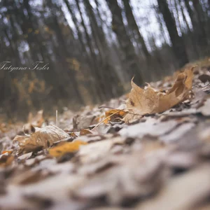 Tatyana Tesler's photo